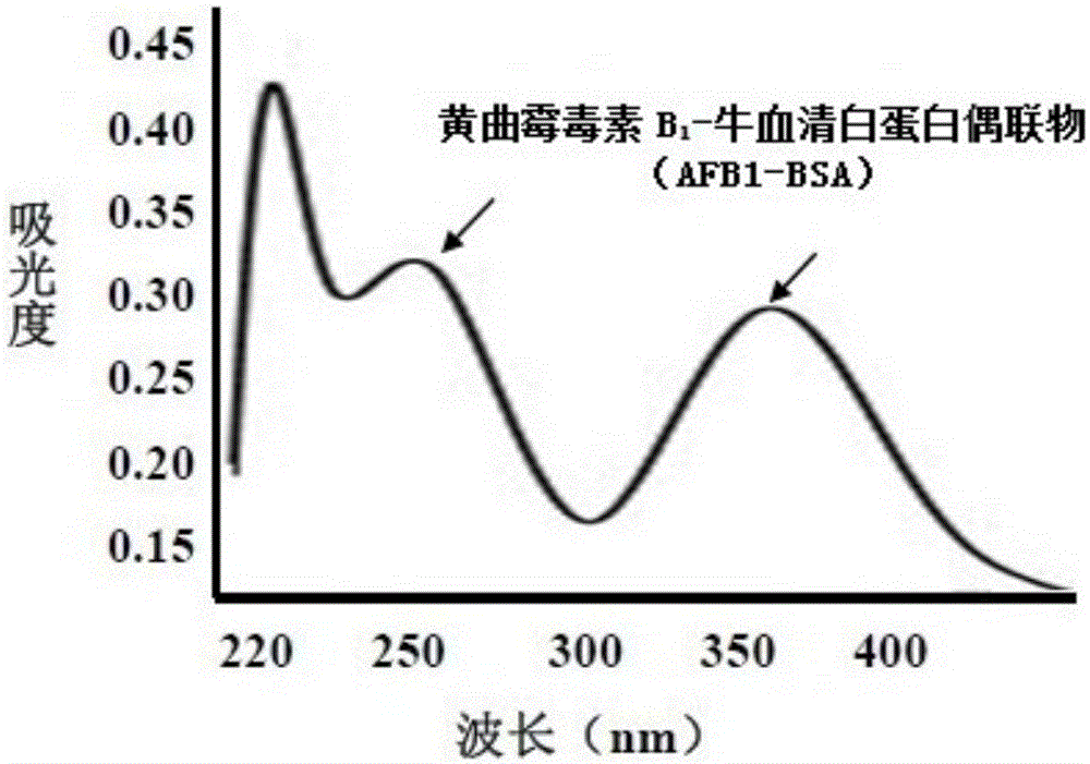 Synthetic method for artificially coupling antigen through aflatoxin B1-carrier proteins