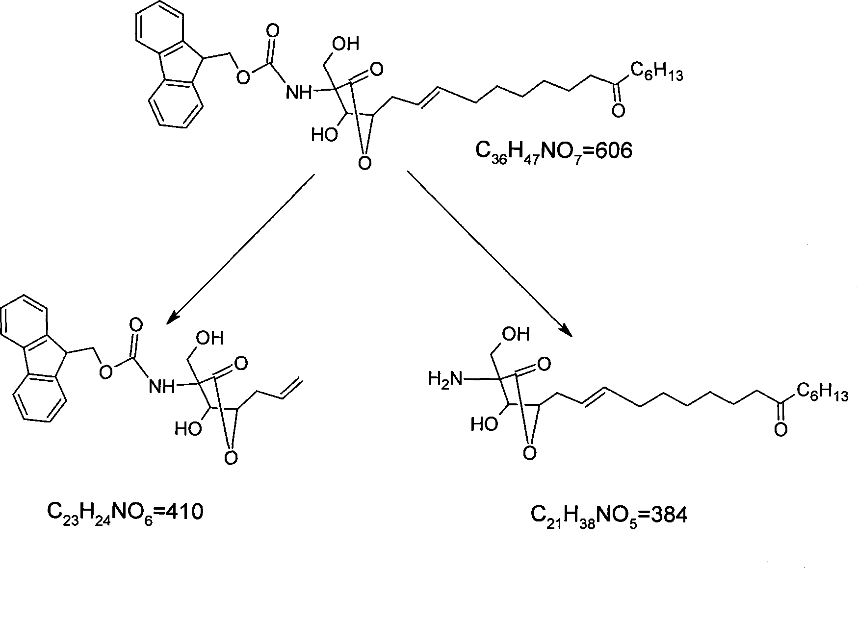 Multi-shell rhzomorph derivative, preparation and uses thereof