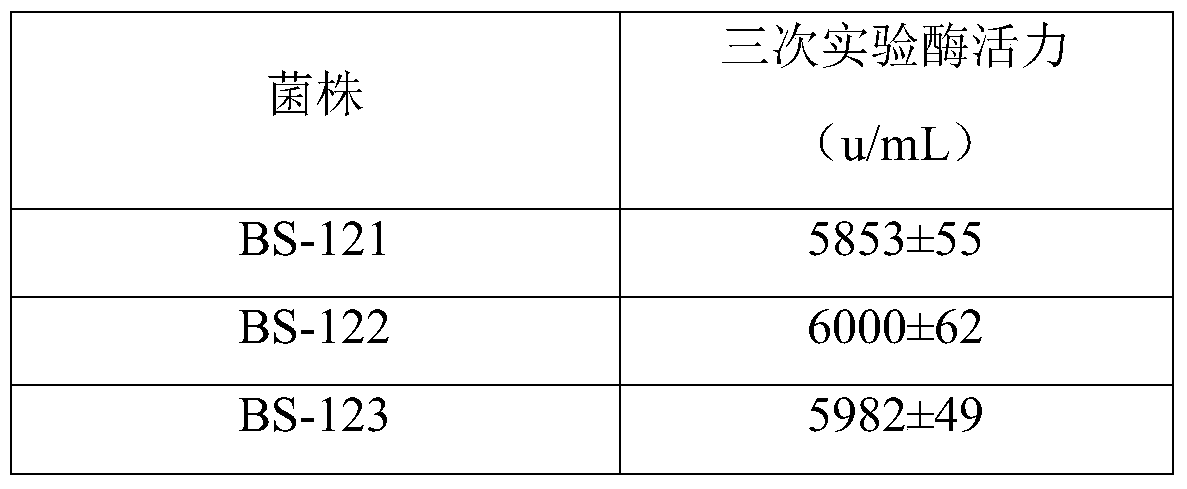 A strain of Bacillus subtilis with high production of mesophilic α-amylase and its liquid fermentation method