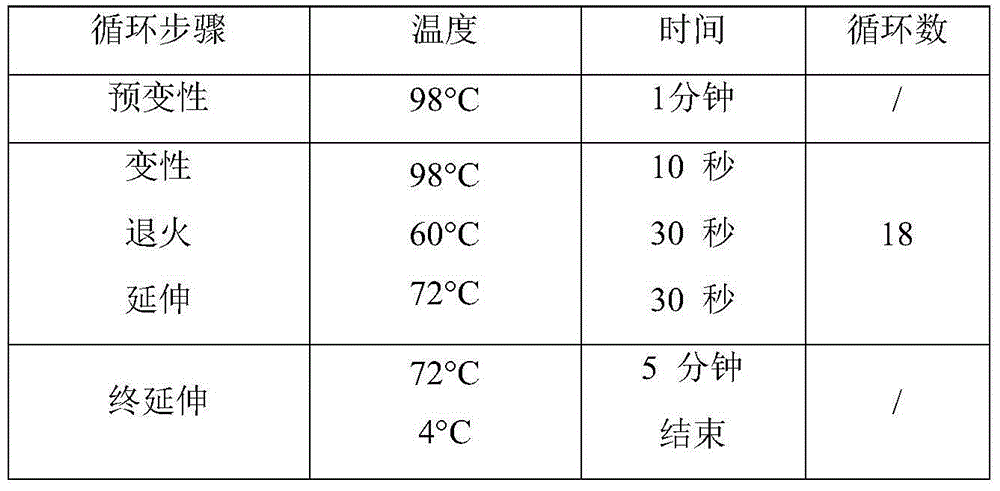 Construction method and sequencing method of genetic typing sequencing library