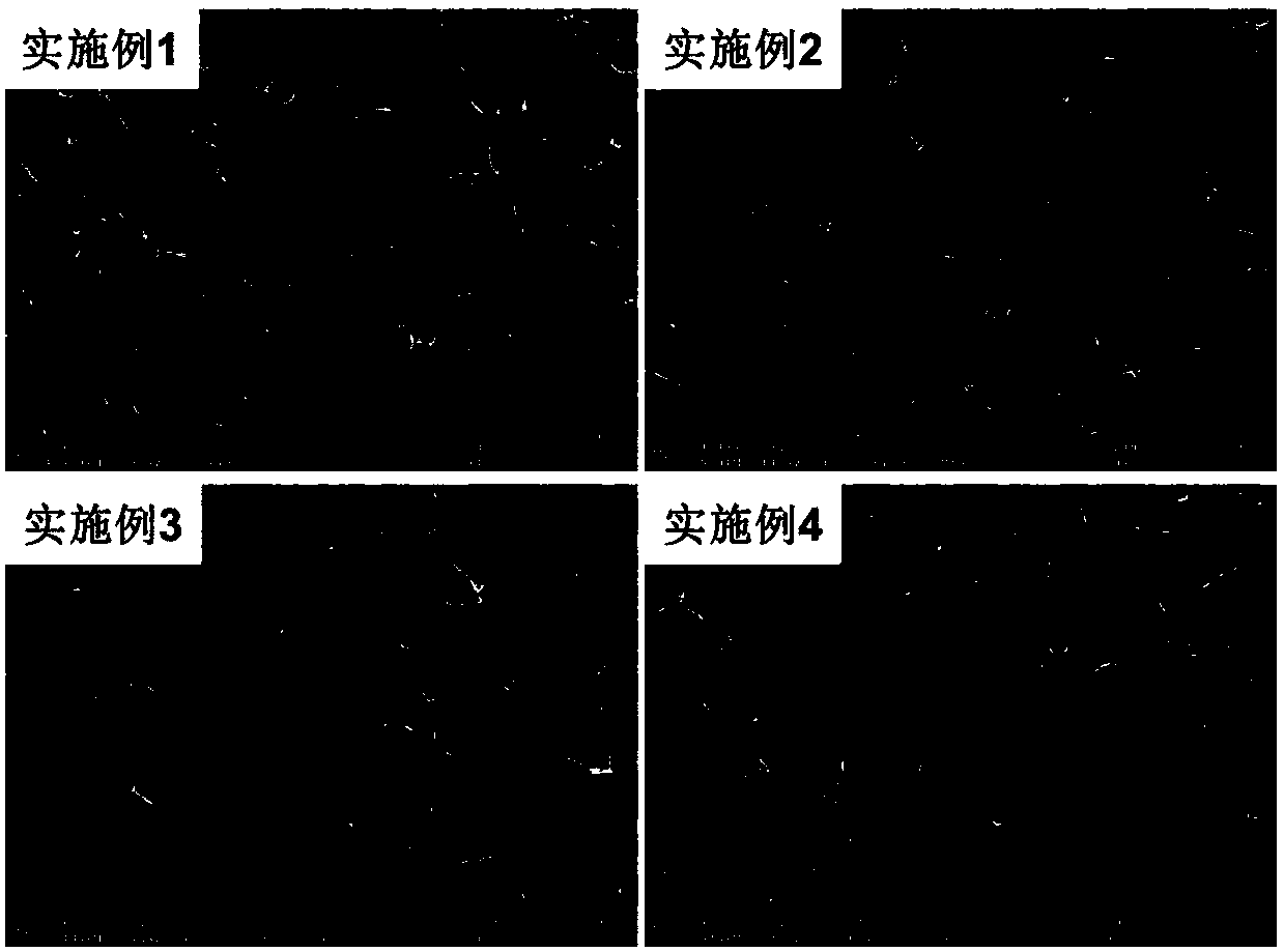 A kind of preparation method of isotropic superelastic graphene airgel