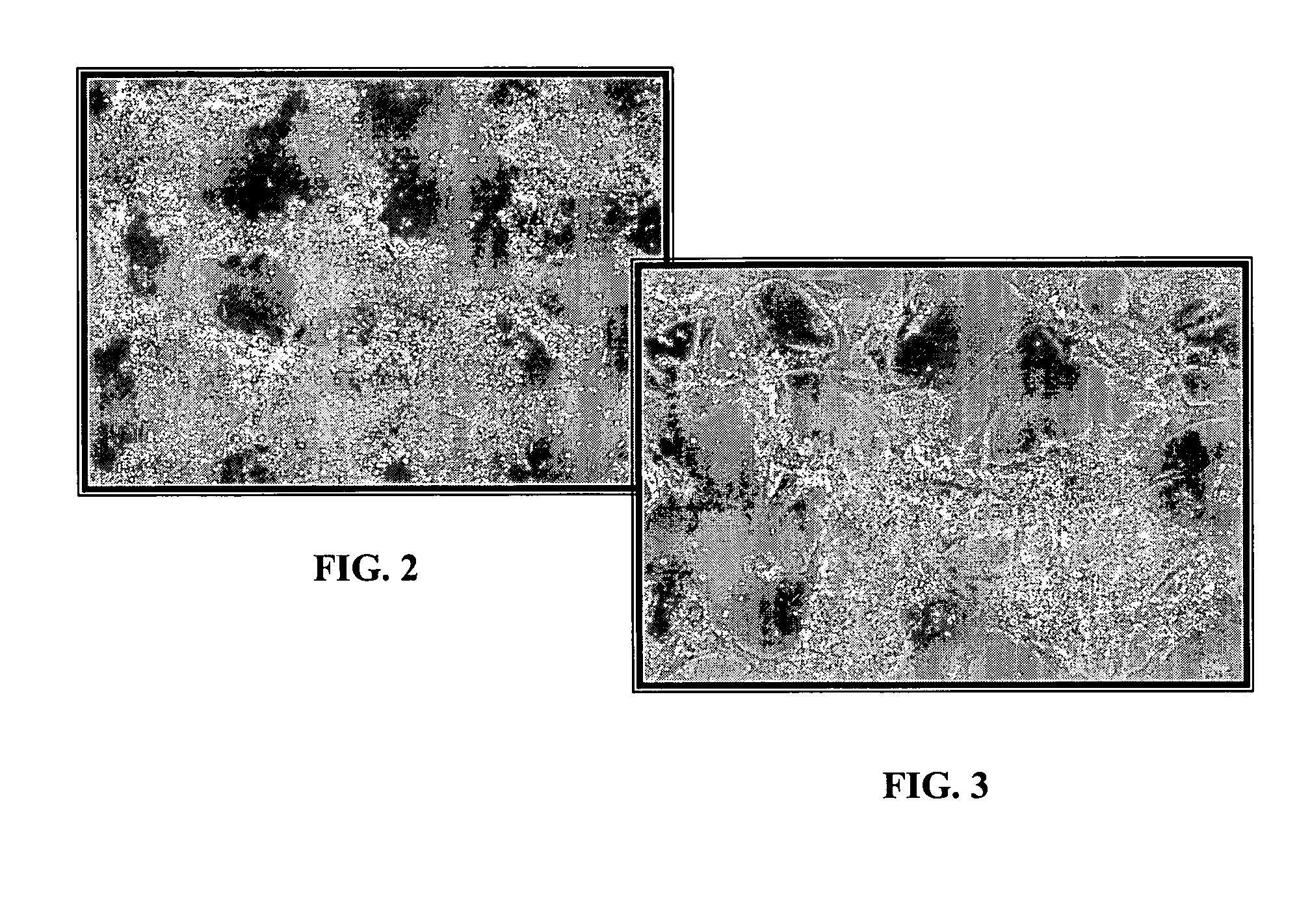 Multi component controlled release system for oral care, food products, nutraceutical, and beverages