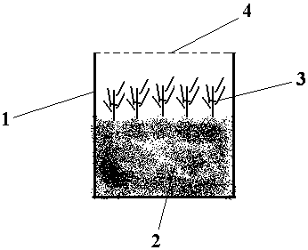 A method for preventing and controlling Bemisia tabaci in facility vegetables