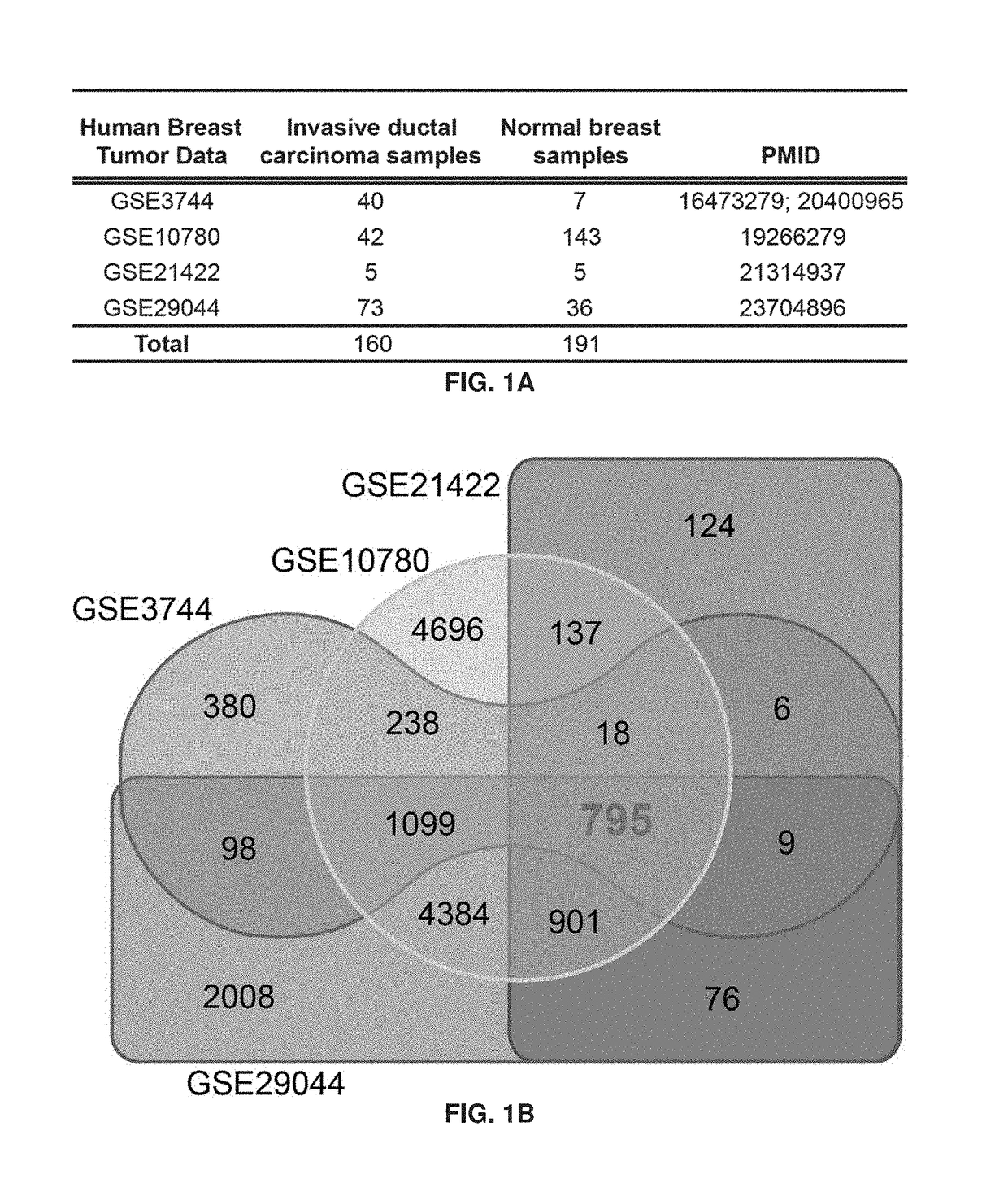 Novel 12-Gene Prognostic Signature For Breast Cancer Survival