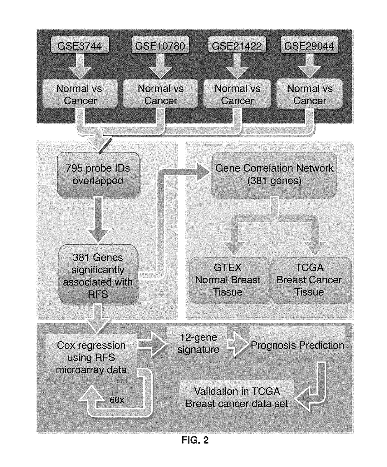 Novel 12-Gene Prognostic Signature For Breast Cancer Survival