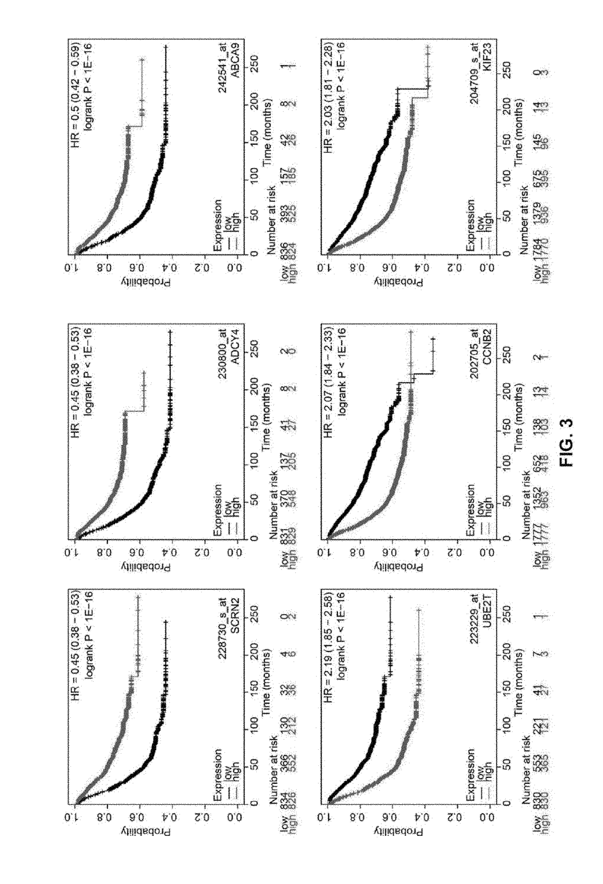 Novel 12-Gene Prognostic Signature For Breast Cancer Survival