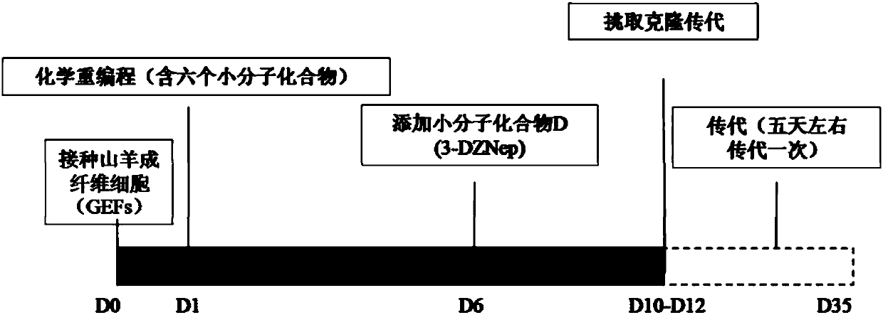 Preparation method of completely small molecule compound induced goat multipotential stem cells