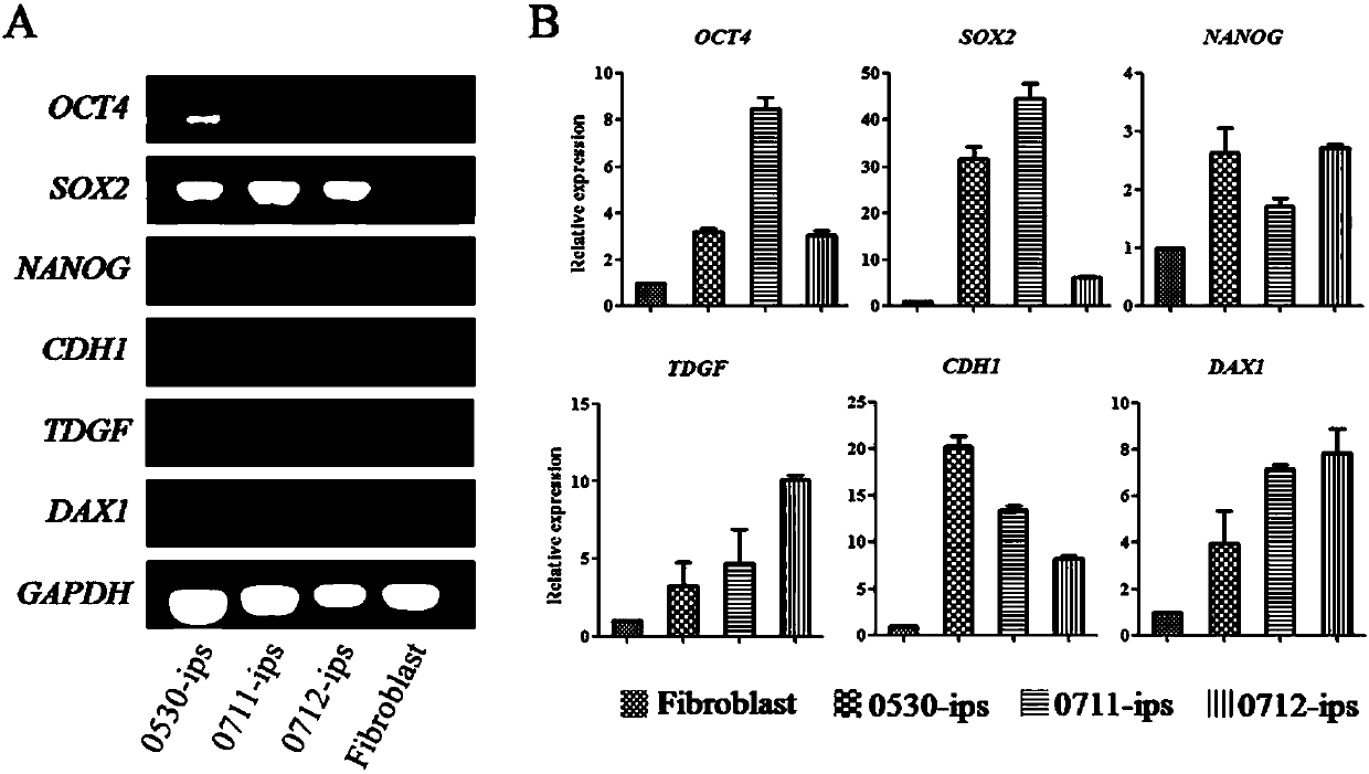 Preparation method of completely small molecule compound induced goat multipotential stem cells