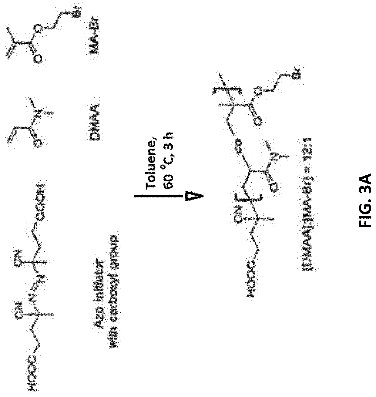 Polymer Engineered Regenerating Bioscavengers