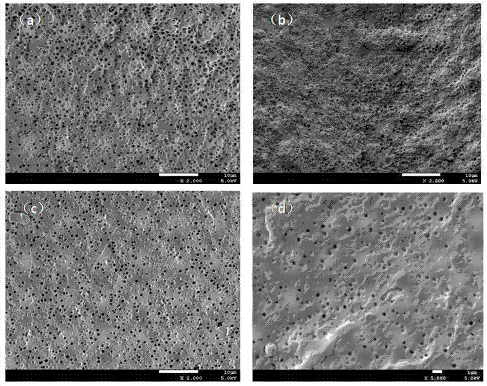 Completely-biodegrading low-mobility-plasticizer polylactic acid material and preparation method thereof