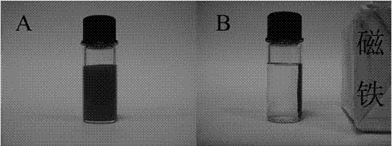 A magnetic covalent organic framework nanocomposite material and its preparation method and application