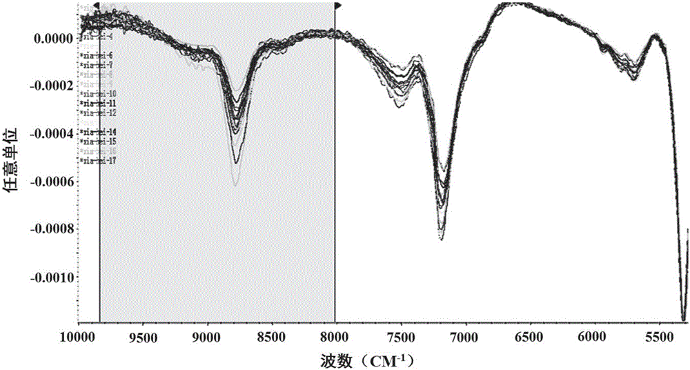 Method for nondestructive testing of grape berries based on near infrared spectrum technology