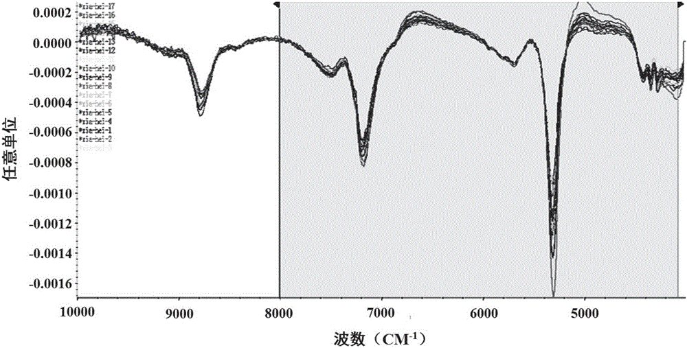 Method for nondestructive testing of grape berries based on near infrared spectrum technology