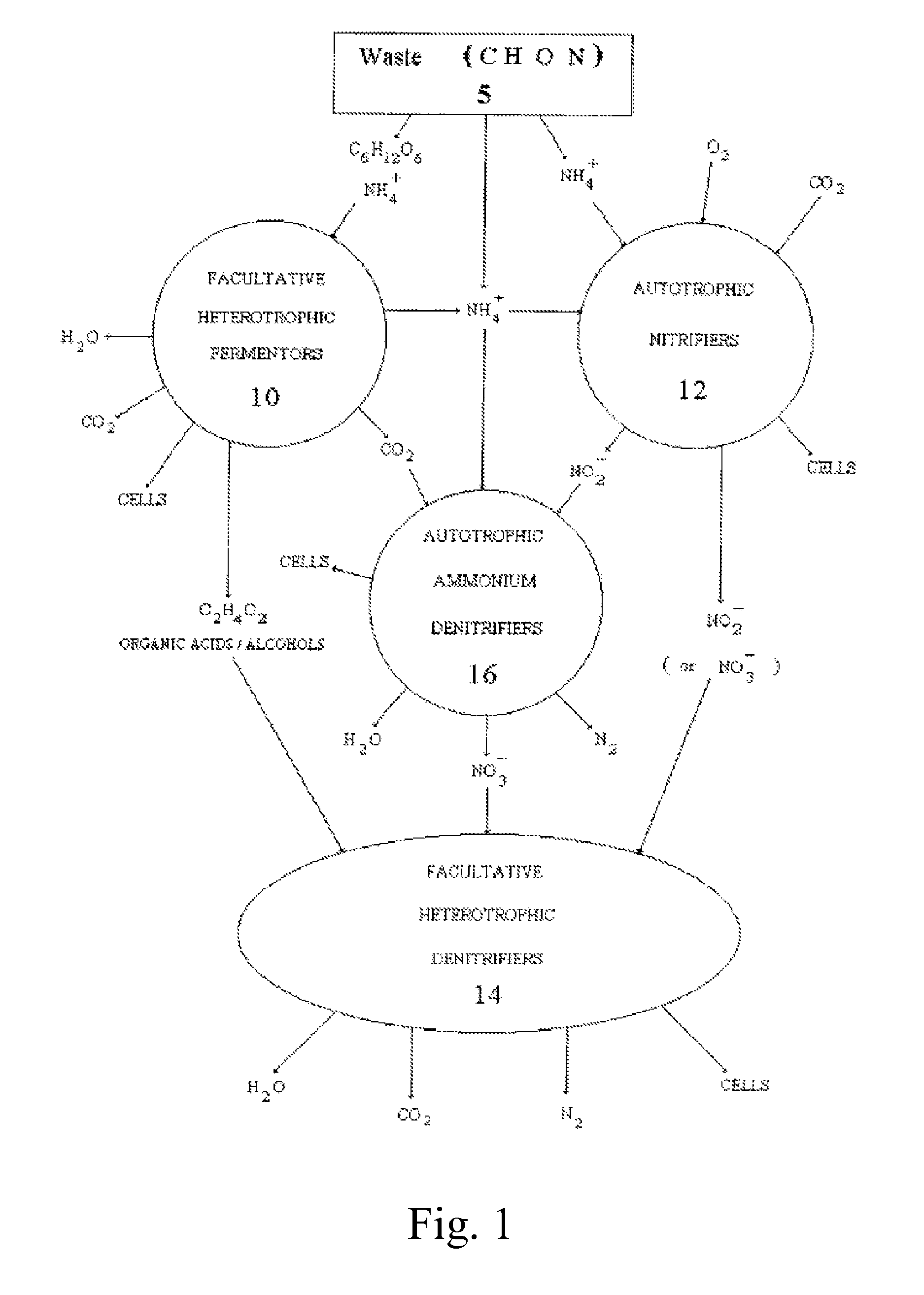 Method for treating nitrogen in waste streams