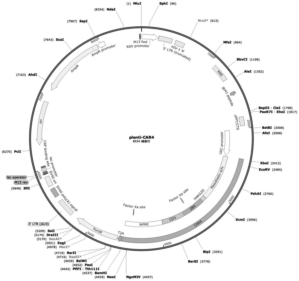 CAR-NK transgenosis carrier based on replication defective recombinant lentivirus, and construction method and application of CAR-NK transgenosis carrier