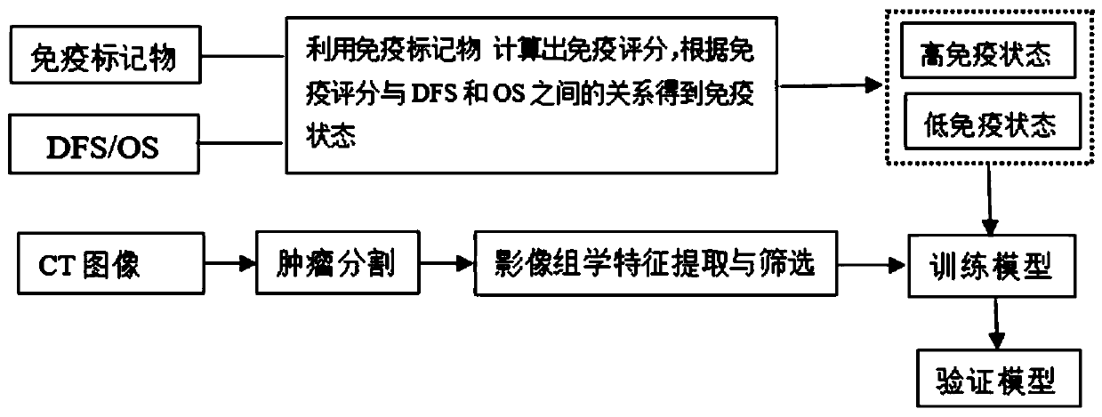 Method for quantifying tumor immune state based on radiomics