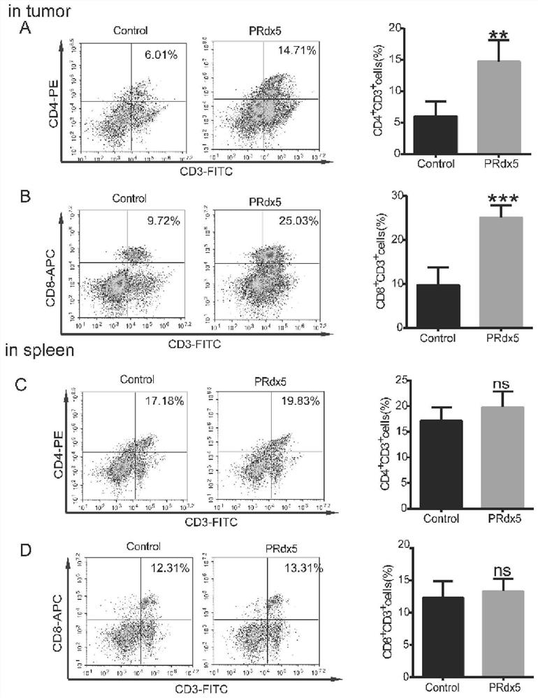 A host factor hprdx5 with anti-tumor effect, its coding gene and its application