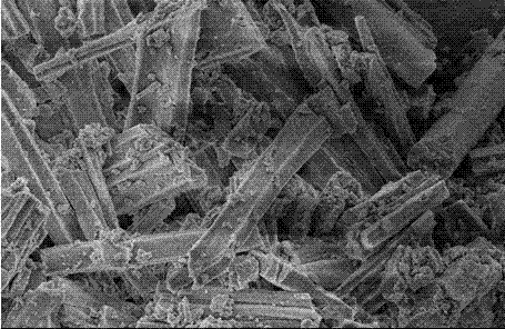 Preparation method of prismatic biological calcium carbonate