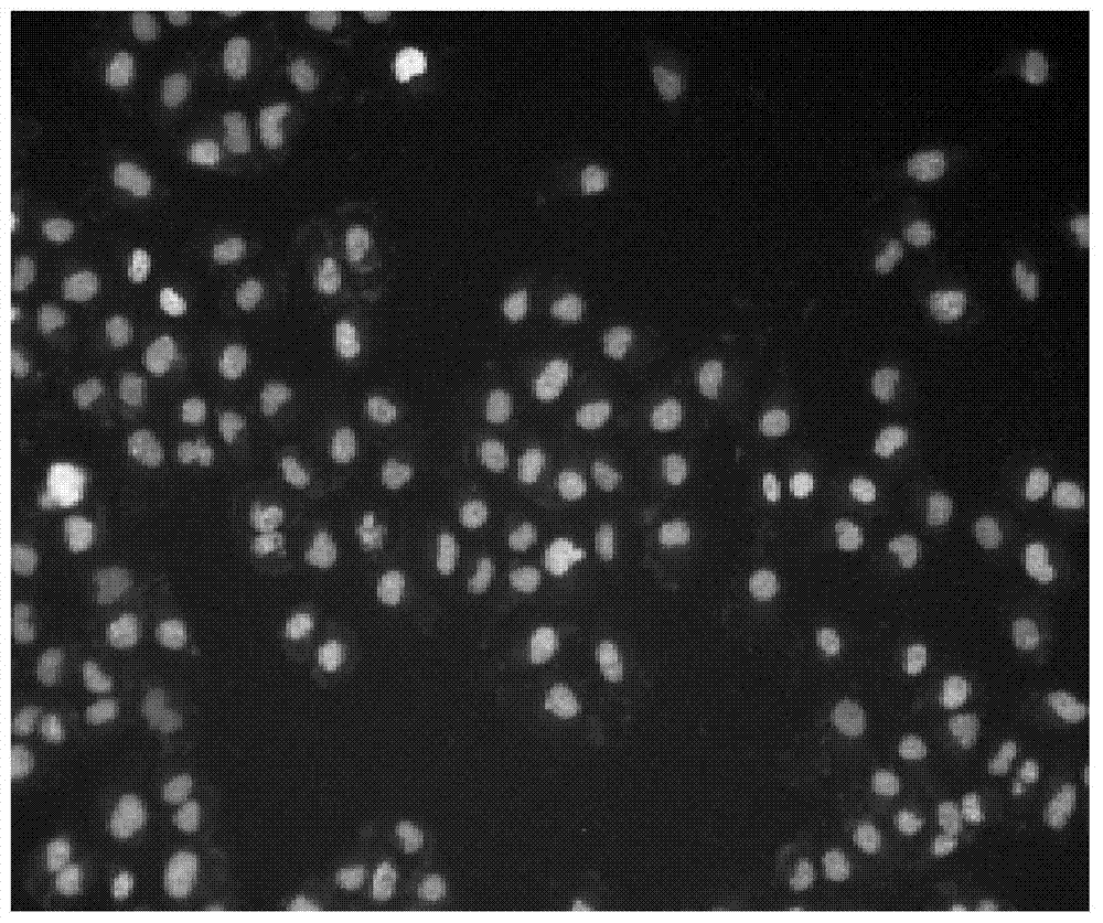 New uses of 24‑acetyl alisol f