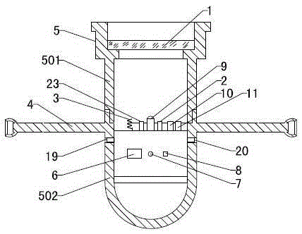 Capsule type granary detection device and detection method thereof