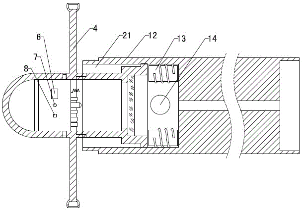 Capsule type granary detection device and detection method thereof