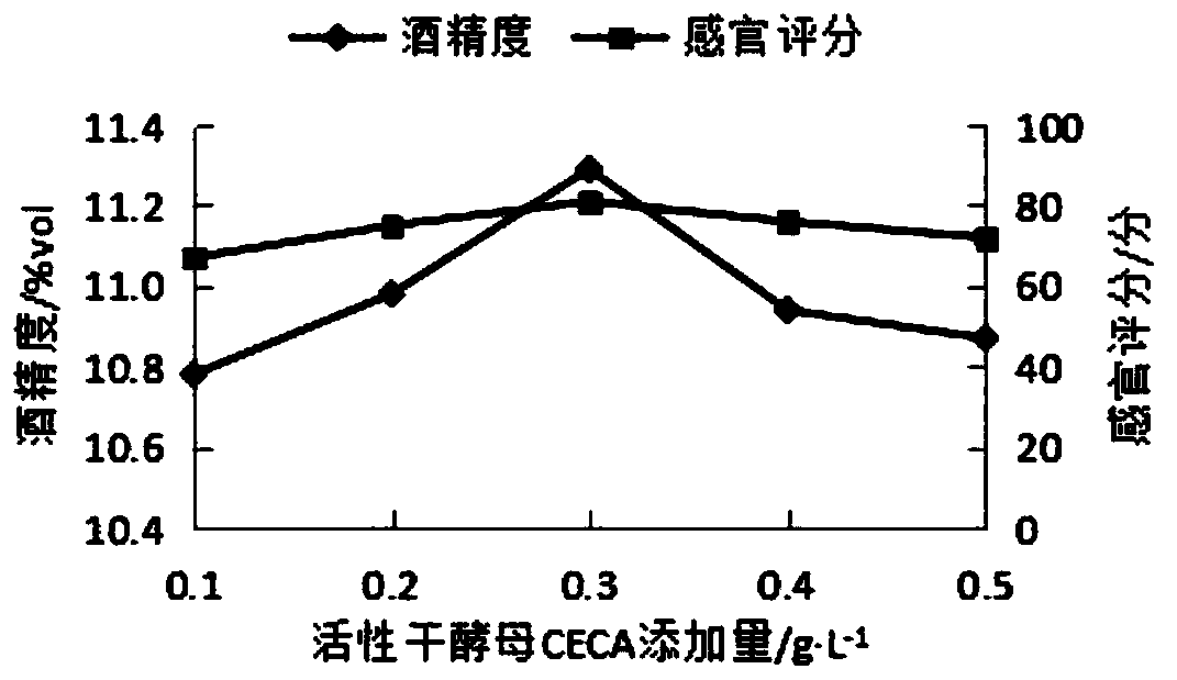 Stauntonia chinensis and crown pear composite fruit wine and preparation method thereof