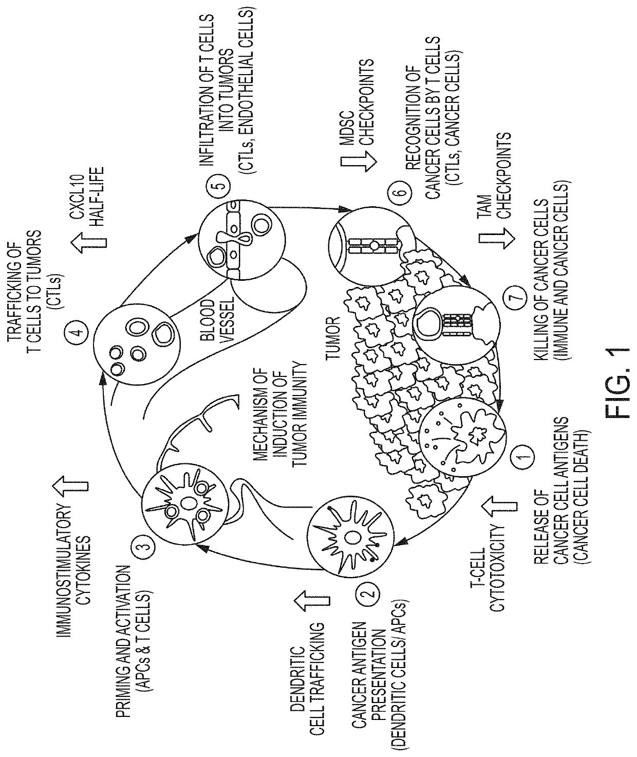 Combination therapies using immuno-dash inhibitors and pge2 antagonists