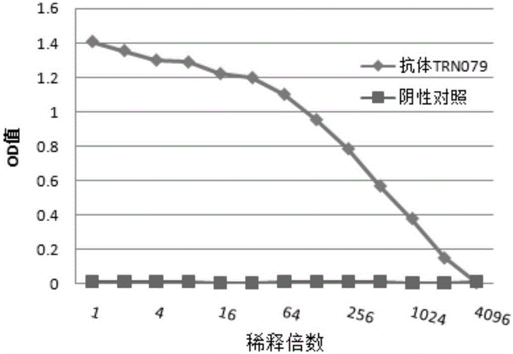 Fully-humanized rabies virus resisting neutralizing antibody