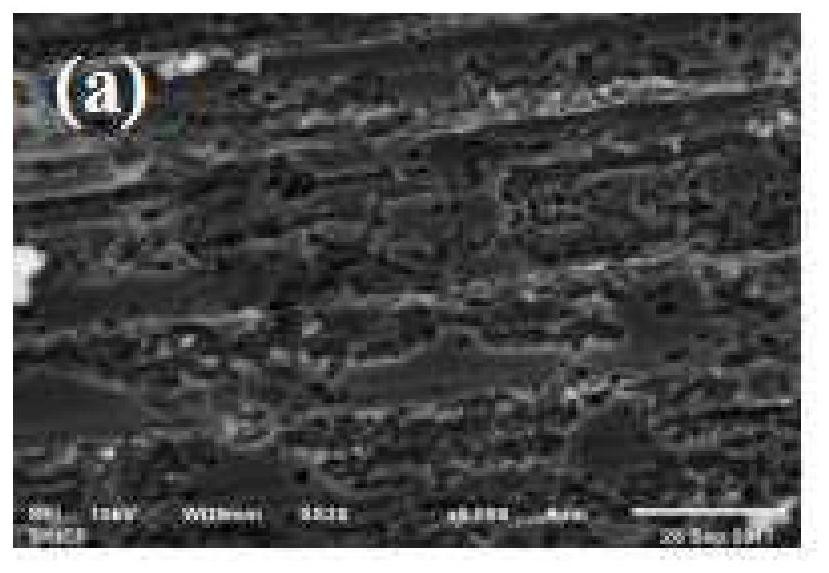 A kind of copper surface phosphate ester assembly liquid and its application