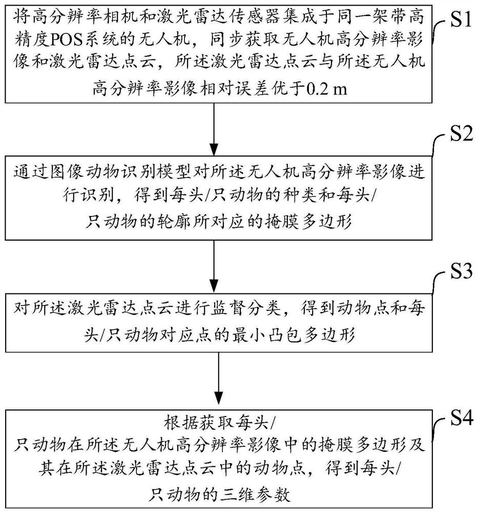 Animal three-dimensional parameter extraction method and system based on unmanned aerial vehicle, and electronic equipment