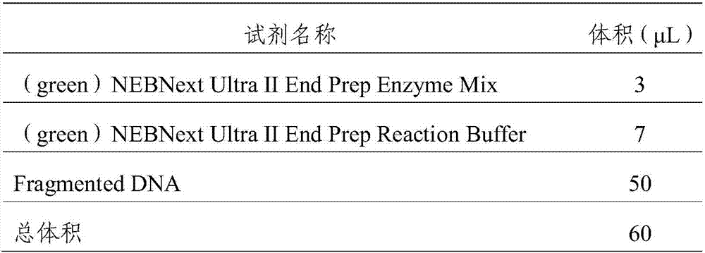 Mutation site combination and primer for detecting susceptible genes of type 2 diabetes as well as application of combination and primer