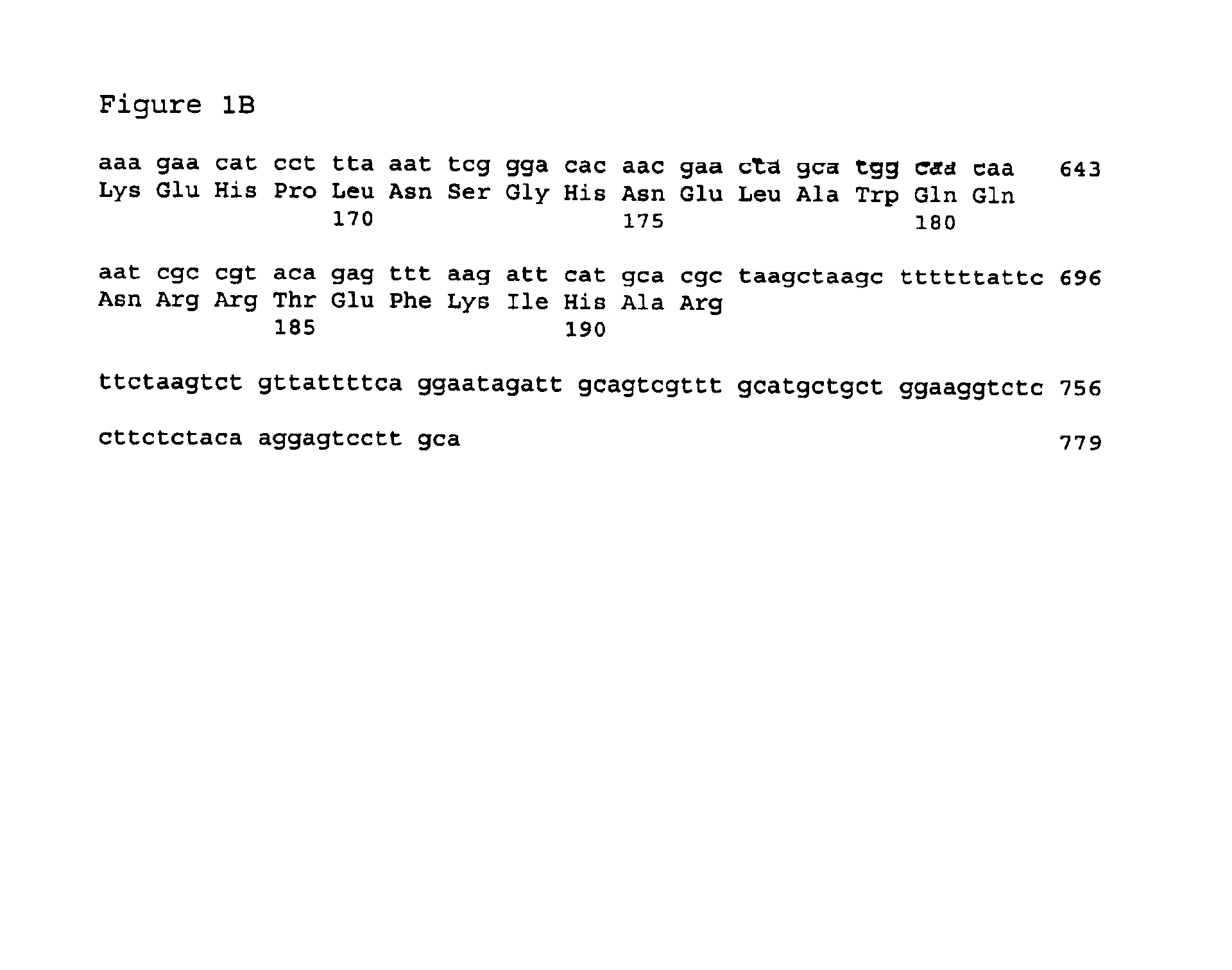 Chlamydia antigens and corresponding DNA fragments and uses thereof