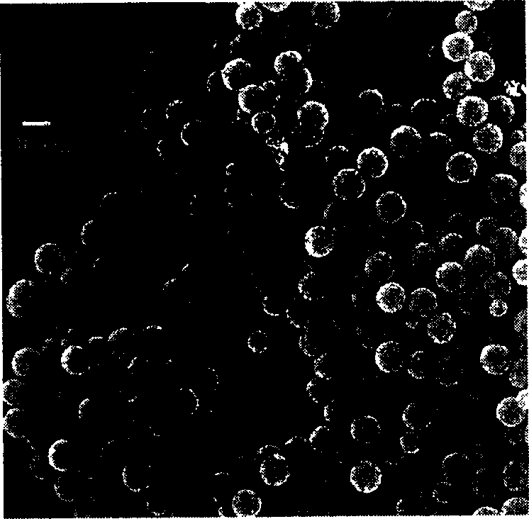 Method for synthesizing series single-dispersed ferrite nanometer magnetic beads