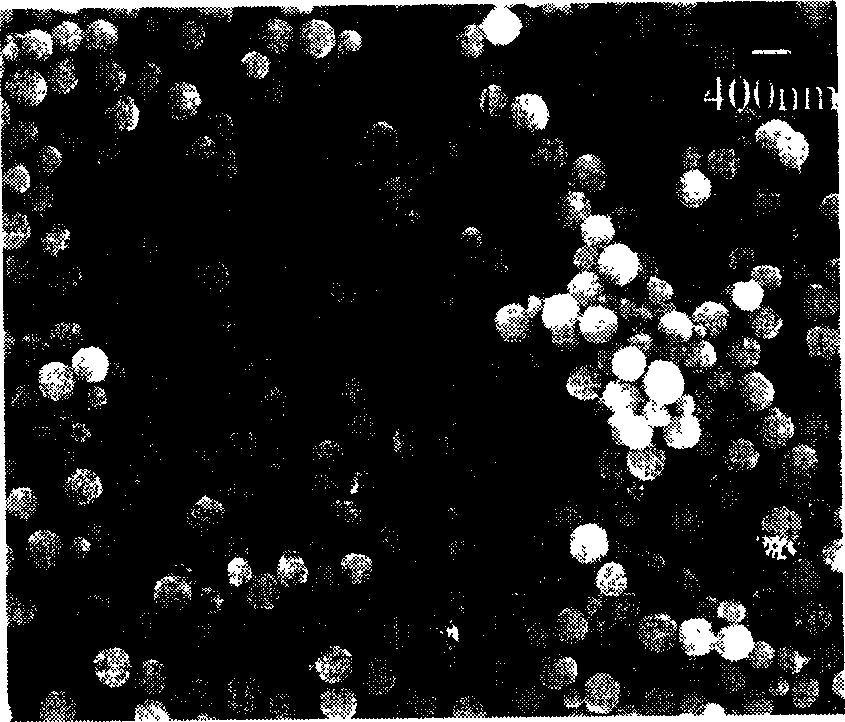 Method for synthesizing series single-dispersed ferrite nanometer magnetic beads