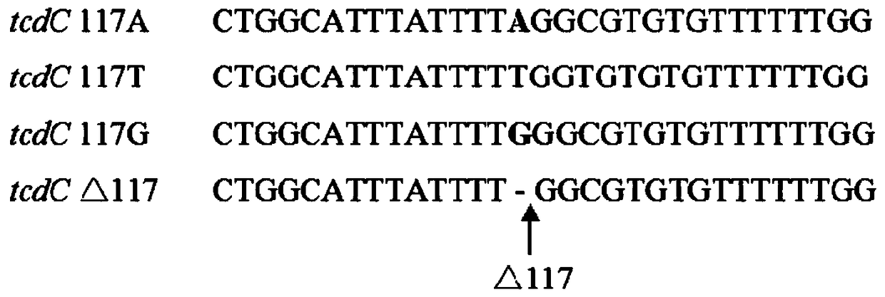 Compositions and kits and methods for detecting hypervirulent strains and/or toxin types of Clostridium difficile