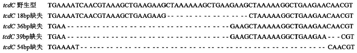 Compositions and kits and methods for detecting hypervirulent strains and/or toxin types of Clostridium difficile