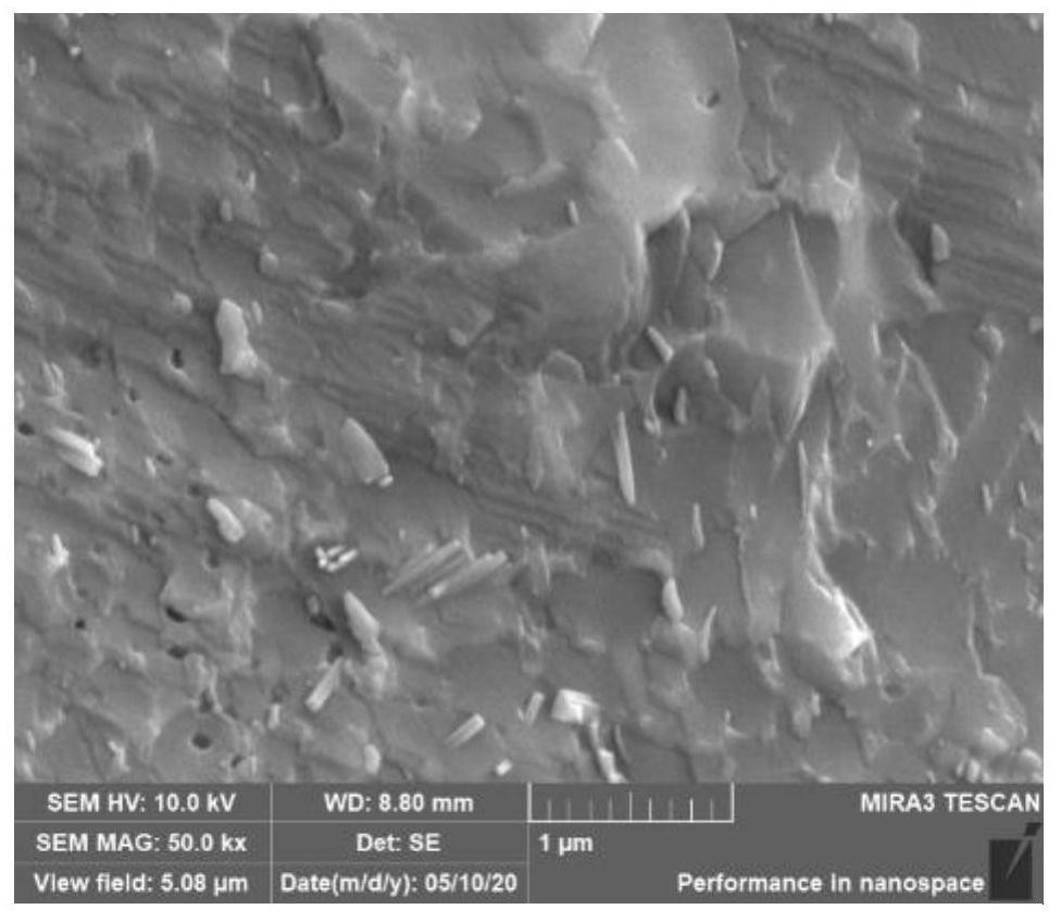 Fluorescent glass ceramic and preparation method thereof