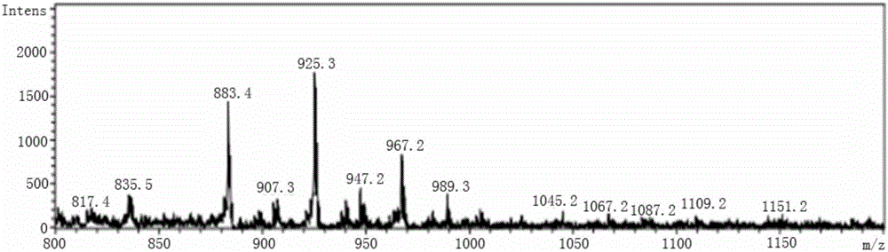 Method for preparing soapnut saponin by two-step method