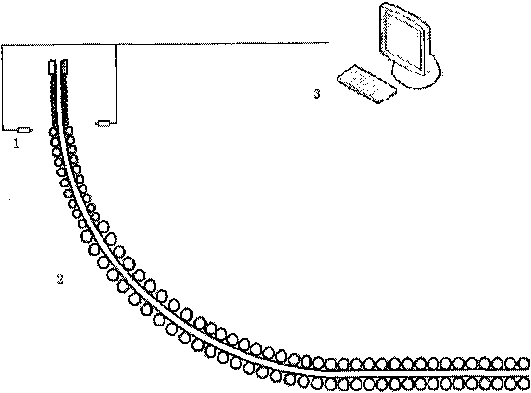 Online monitor of continuous casting machine crystallizer foot roll working state and monitoring method thereof