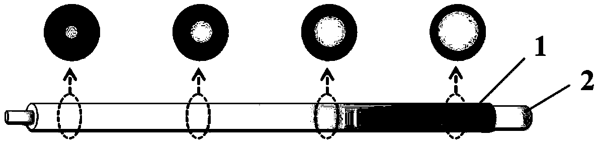 Method for preparing micro-nano oriented fiber with controllable rigidity