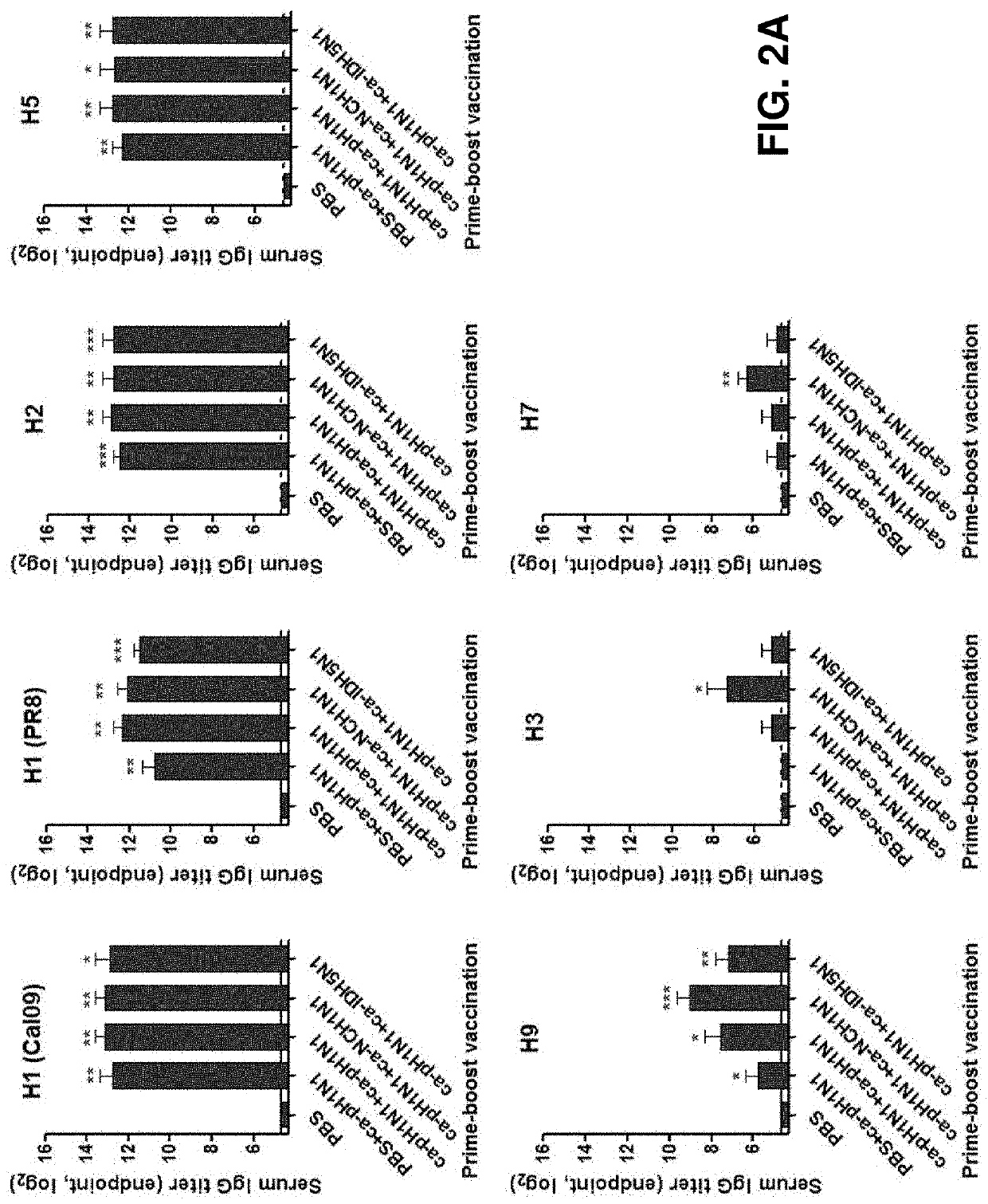 Universal influenza vaccine using cold-adapted live-attenuated virus