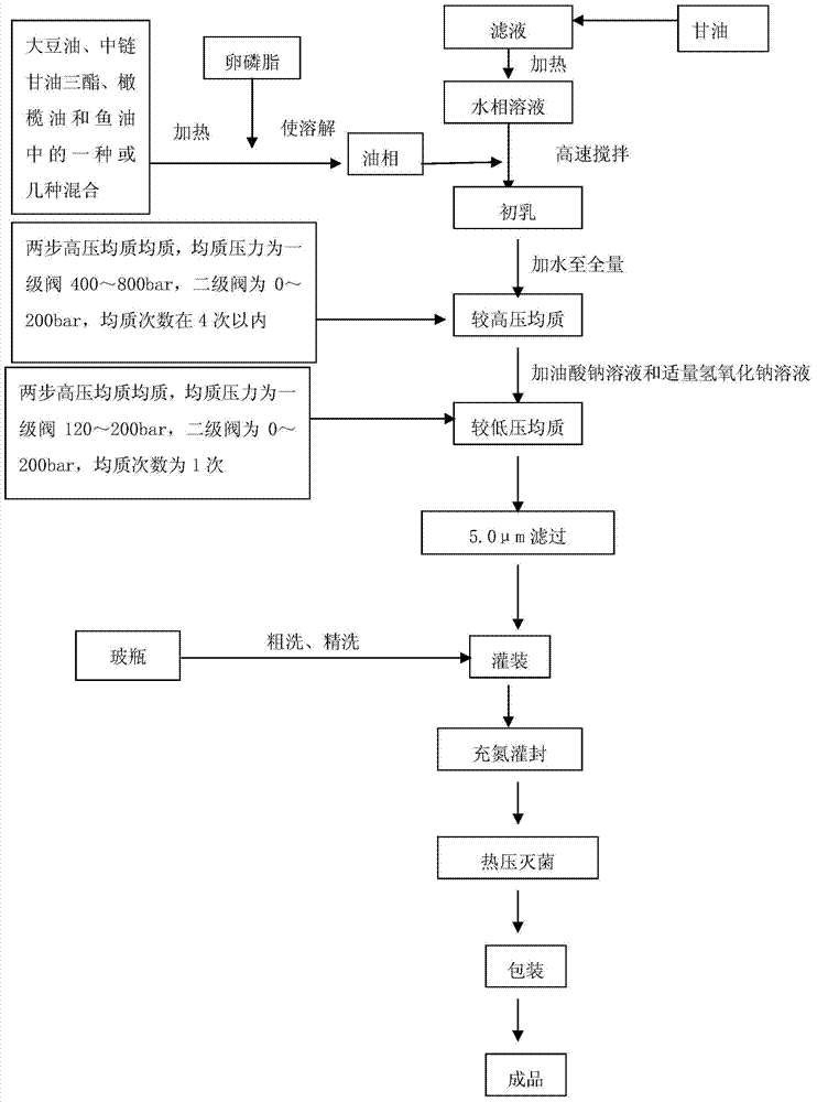 Fat emulsion injection and preparation method thereof