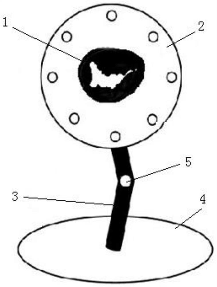 Heart valve model and manufacturing method thereof