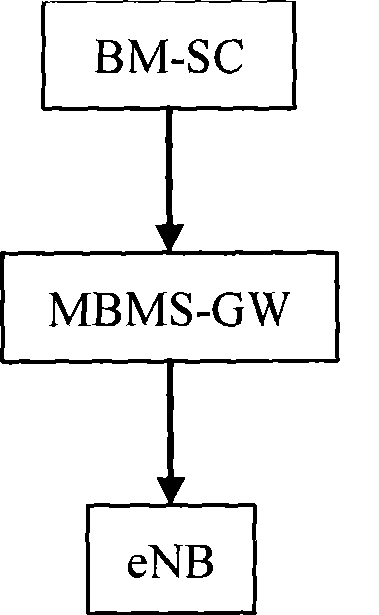 Multimedia broadcast multicast service implementing method and system under long-term evolution structure