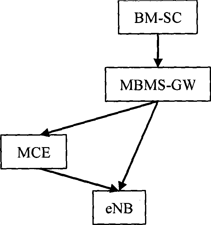 Multimedia broadcast multicast service implementing method and system under long-term evolution structure