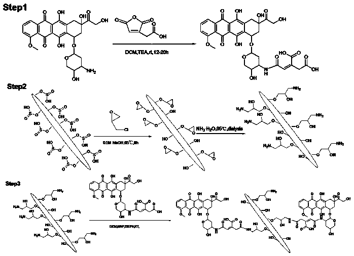 Acid environment sensitive nano predrug system with cellulose nanocrystal used as carrier and preparation method