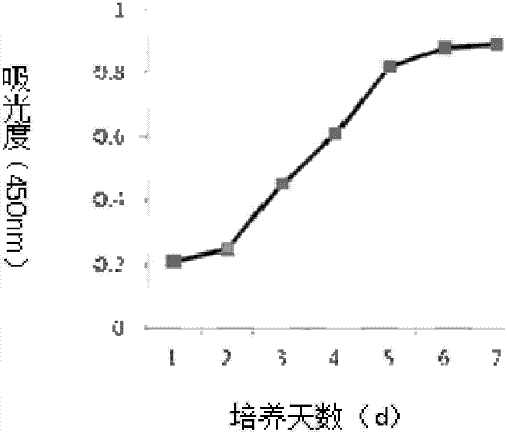 Human placenta chorionic mesenchymal stem cell separation method