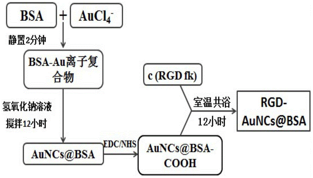 RGD-labeled fluorescent gold nano-cluster preparation method