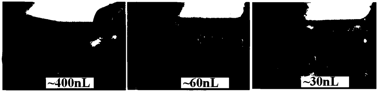 Single pump micro droplet control system and application thereof