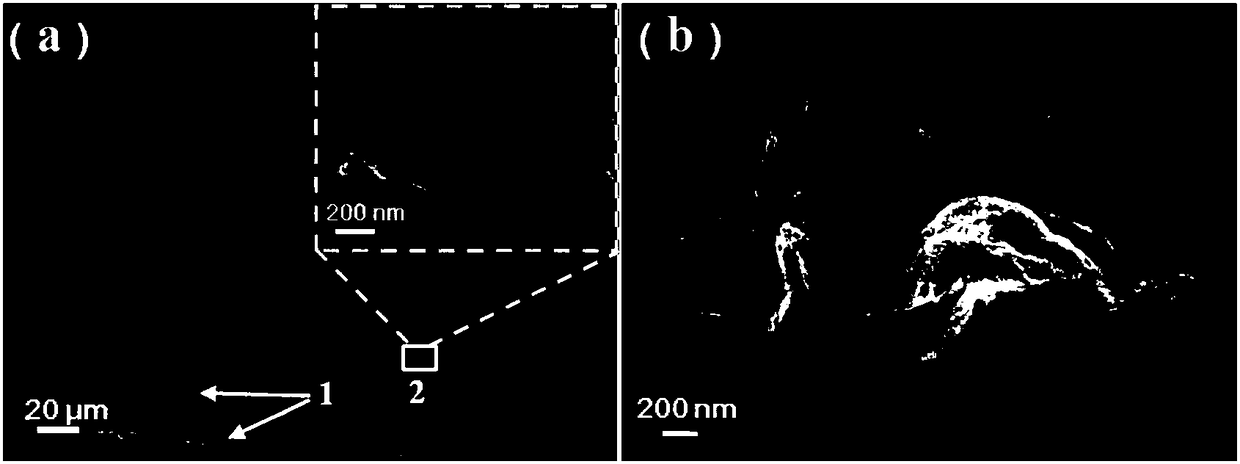 Method for preparing polyatomic self-doped graphene using natural porous and layered vegetables